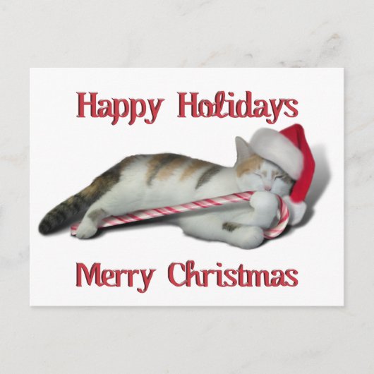 Cali, die Candy Cane Kitty Postkarte (Vorderseite)