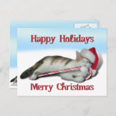 Cali, die Candy Cane Kitty Postkarte (Vorne/Hinten)