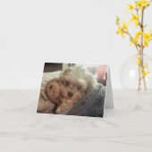 Cali Lutscher Furiends Furever leeres Notecard Karte (Gelbe Blume)