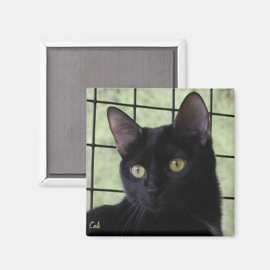 Cali Magnet (Vorderseite/Rückseite)