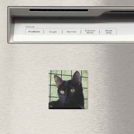 Cali Magnet (In Situ (Geschirrspüler))