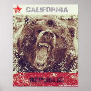 Cali Stolz-Plakat Poster