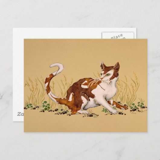 Calico Autum Postkarte (Vorne/Hinten)
