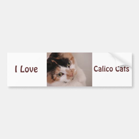 Calico Beauty Cat Autoaufkleber (Vorne)