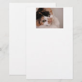 Calico Beauty Cat Briefpapier (Vorne/Hinten)