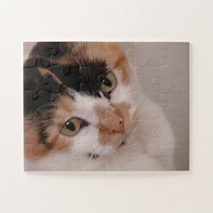 Calico Beauty Cat Puzzle