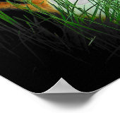 Calico Camouflage Cats Poster (Ecke)
