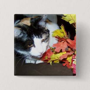 Calico Cat Autumn Herbstlaubs Button