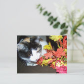 Calico Cat Autumn Postcard Postkarte (Stehend Vorderseite)