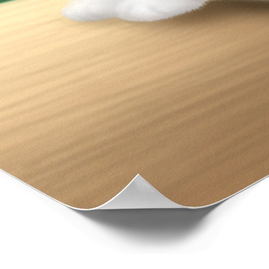 Calico Cat bei Sunset Poster (Ecke)