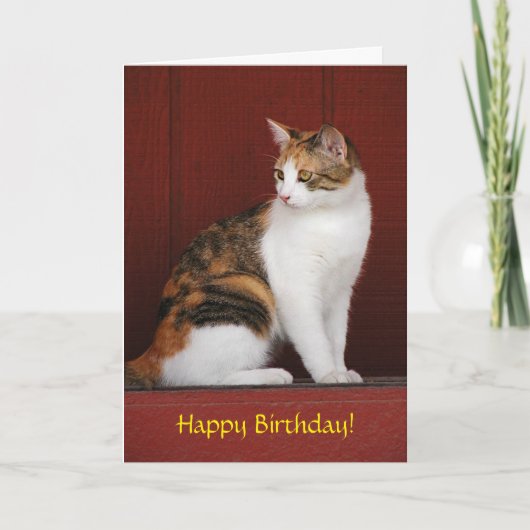 Calico Cat Birthday Card Karte (Vorderseite)
