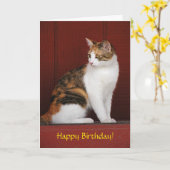 Calico Cat Birthday Card Karte (Gelbe Blume)