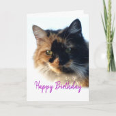 Calico cat Birthday Karte (Vorderseite)