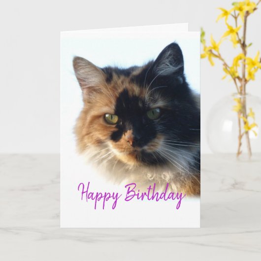 Calico cat Birthday Karte (Gelbe Blume)