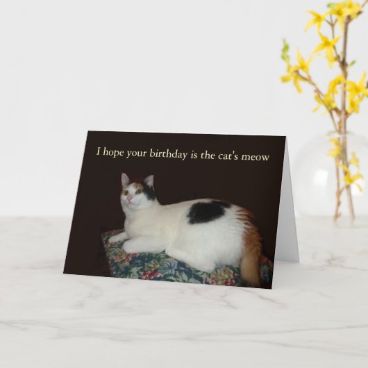 Calico Cat Birthday Karte (Gelbe Blume)
