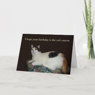 Calico Cat Birthday Karte