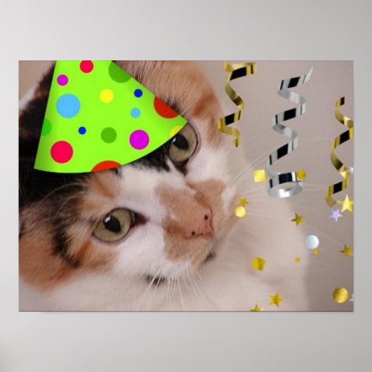 Calico Cat Birthday Party Poster (Vorne)
