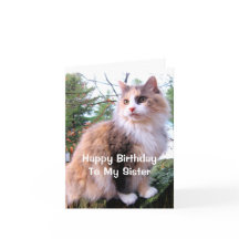 Calico Cat Birthday Sister