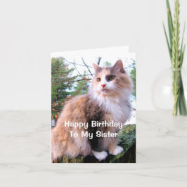 Calico Cat Birthday Sister Karte