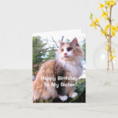 Calico Cat Birthday Sister Karte (Gelbe Blume)