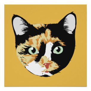 Calico Cat Bonita Poster
