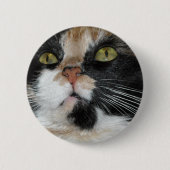 Calico Cat Button (Vorderseite)