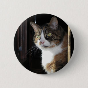 Calico Cat Button
