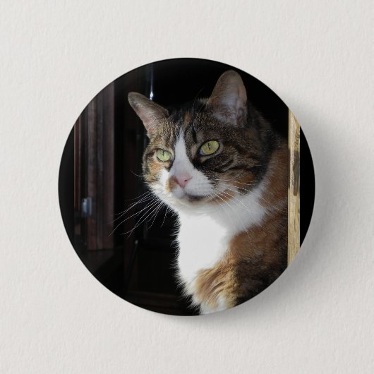 Calico Cat Button (Vorderseite)