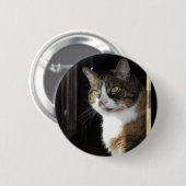 Calico Cat Button (Vorne & Hinten)