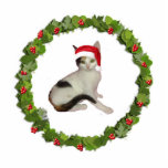 Calico Cat Christmas Wreath Fotoskulptur Ornament<br><div class="desc">Dieses Acryl-Weihnachtsschmuck einer Kalico-Katze in einer Weihnachtsmannmütze in einem Weihnachtskranz kommt mit einem roten Band zum Aufhängen. Die endgültige Größe ist ungefährlich und hängt von der Größe des ausgeschnittenen Bildes ab.</div>