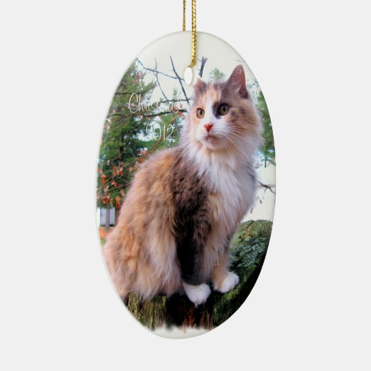 Calico Cat Custom Christmas Keramikornament (Rechts)