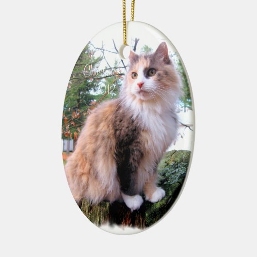 Calico Cat Custom Christmas Keramikornament (Links)