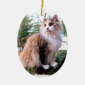 Calico Cat Custom Christmas Keramikornament (Vorne)