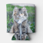 Calico Cat Dosenkühler (Rückseite)