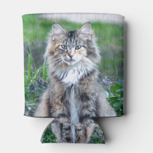 Calico Cat Dosenkühler (Rückseite)