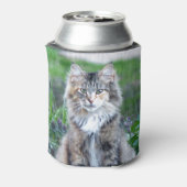 Calico Cat Dosenkühler (Kanne Rückseite)