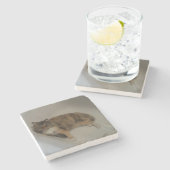 Calico Cat Drink Untersetzer (Seitenansicht)