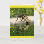 Calico Cat Drink Water Card Karte (Gelbe Blume)