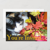 Calico Cat Erntedank zum Abendessen Einladung (Vorne/Hinten)