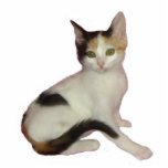 Calico Cat Foto Skulptur<br><div class="desc">Diese Fotoskulptur eines Kalico-Kätzchens ist ein tolles Geschenk für Katzenliebhaber</div>