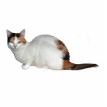 Calico Cat Fotoskulptur Schlüsselanhänger<br><div class="desc">Ein 3D-Schlüsselanhänger einer Kalico-Katze</div>