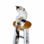 Calico Cat Freistehende Fotoskulptur<br><div class="desc">Eine Kalico-Katze sitzt auf einem Küchenhocker und ist Gegenstand dieser Fotoskulptur</div>