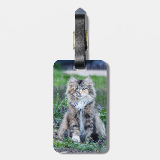 Calico Cat Gepäckanhänger (Rückseite vertikal)