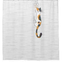 Calico Cat hanging on | Funny Cat Lover