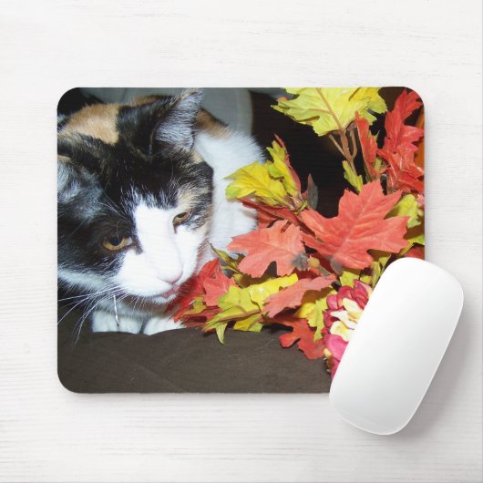 Calico Cat Herbst Herbstlaubs Mousepad (Mit Mouse)