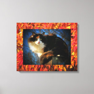 Calico Cat im Herbst Leinwanddruck