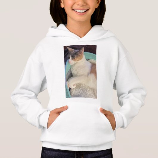 Calico Cat in Cat Bed Hoodie (Vorderseite)