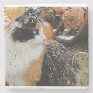 Calico Cat in Snow Storm Steinuntersetzer