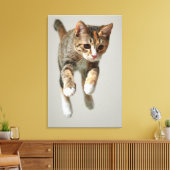 Calico Cat Jumping Leinwanddruck (Insitu (Wohnzimmer))
