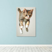 Calico Cat Jumping Leinwanddruck (Insitu (Holzboden))